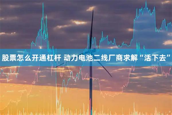 股票怎么开通杠杆 动力电池二线厂商求解“活下去”