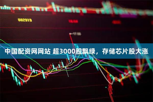 中国配资网网站 超3000股飘绿，存储芯片股大涨